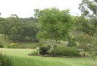 Gunns Plainsresidential-landscaping-40.jpg; ?>